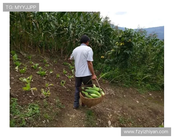 柳林风声：在友谊与冒险的旅程中寻找内心的宁静与自由