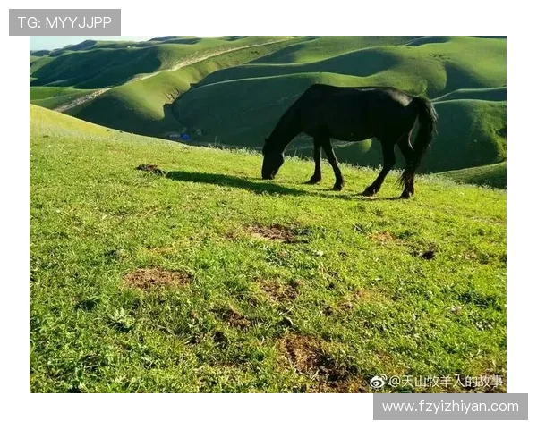 尚敬导演：不止欢笑，更藏着生活的诗与远方